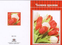 Картички МИНИ  ПЕНТАГРАМ К-т 10бр.  МК 016