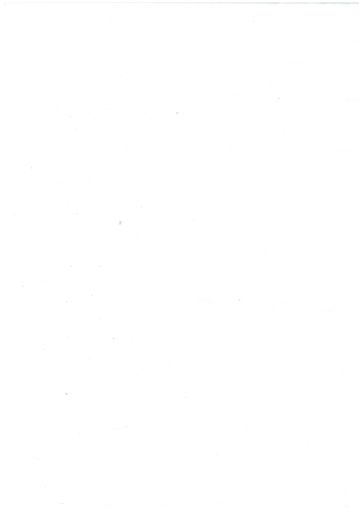 Хартия Пергамин 60/100