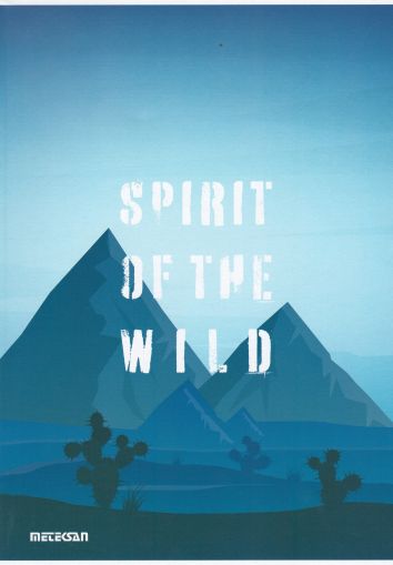 Тетрадка А4  КАРТОН  40л. РЕД МЕТЕКСАН   !!!