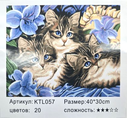 РИСУВАНЕ ПО НОМЕРА 30/40см. КОТЕТА KTL057