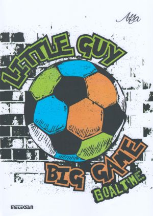 Тетрадка А4  80л.  ПВЦ ARYA  МЕТЕКСАН  !!!