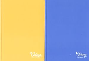 Тетрадка  А5  МЕТЕКСАН   КОЛОРИ 40л.  !!!