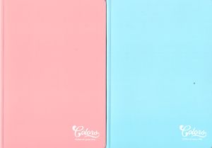 Тетрадка  А5  МЕТЕКСАН   КОЛОРИ 80л.  !!!