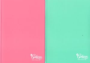 Тетрадка  А5  МЕТЕКСАН   КОЛОРИ 100л.  !!!