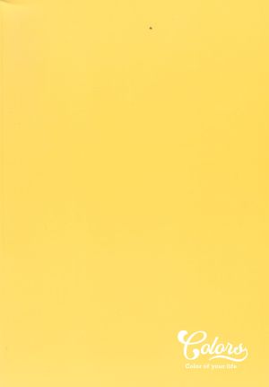 Тетрадка  А4  МЕТЕКСАН КОЛОРИ 80л.  !!!