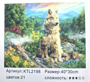 РИСУВАНЕ ПО НОМЕРА 30/40см. ВЪЛЦИ KTL2198