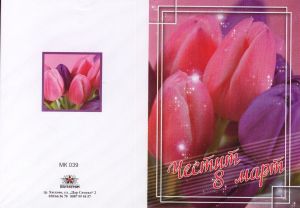 Картички МИНИ  ПЕНТАГРАМ К-т 10бр.  МК 039